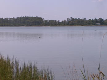WATER VIEW RES. LOT Price Reduced (3)