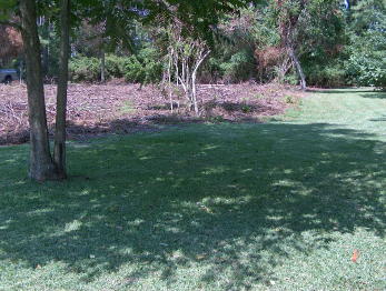 WATER VIEW RES. LOT Price Reduced (2)