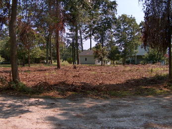 WATER VIEW RES. LOT Price Reduced (4)