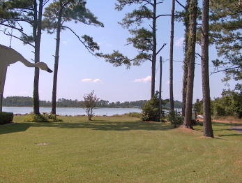 WATER VIEW RES. LOT Price Reduced (0)